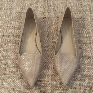 Tamara Mellon Pointed Toe Flats in Light Beige Snake Emboss